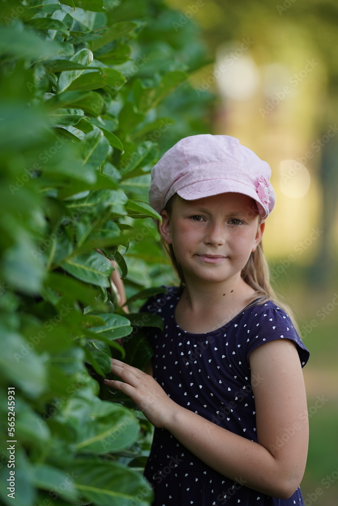 Cute caucasian little girl in a pink hat standing near the blooming bush of blue hydrangea. Selective focus