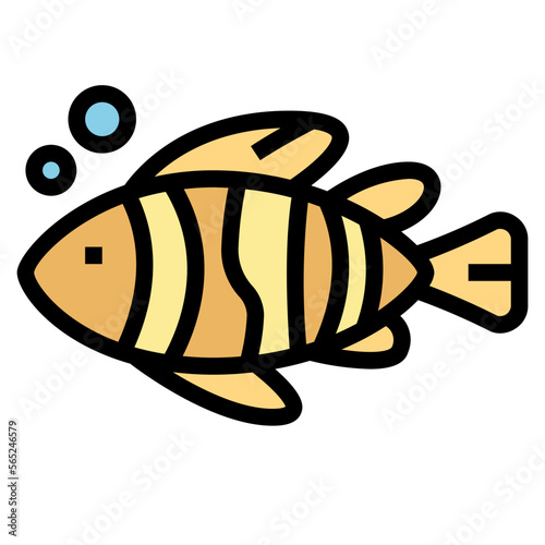 fish filled outline icon style