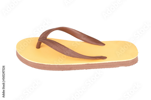 sandals  flip flops color brown isolated on white background