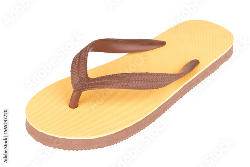 sandals  flip flops color brown isolated on white background