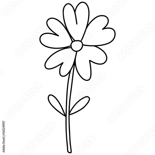 flower  Hand-drawn illustration  Spring season