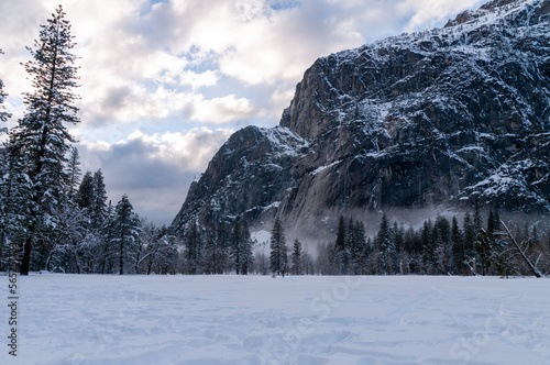 A thin layer of mis has developed in Yosemite valley floor on a snowy winter afternoon, just before sunset.