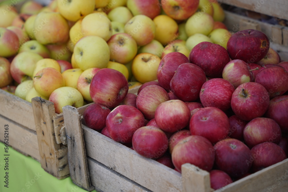 A huge number of fresh apples of different varieties on a big sale A huge number of fresh apples of different varieties on a big sale