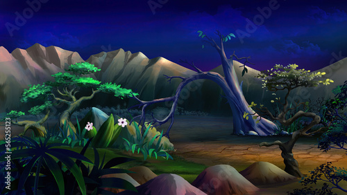Oasis plants in desert area at night illustration.
