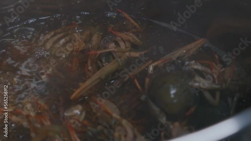 Put crayfish in boiling water in a saucepan