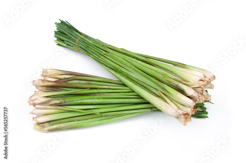 Fresh lemongrass isolated on white background. Medicinal plant and used as an ingredient in many foods.