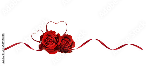 Red silk ribbon hearts and waves with rose flowers isolated on white or tranparent background for Valentine's day photo