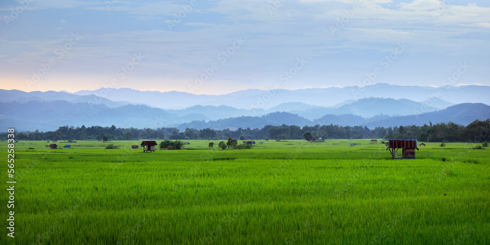 view of green rice field and mountains range in the valley of Luang namta-Laos	