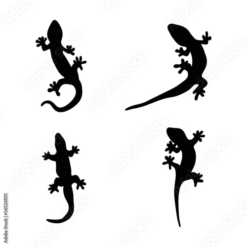 Lizard vector icon logo and symbols template
