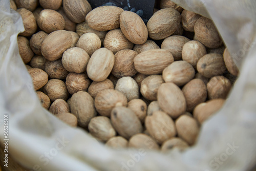 фотографія Nutmeg has a relaxing effect, relieves pain and is good for the mood