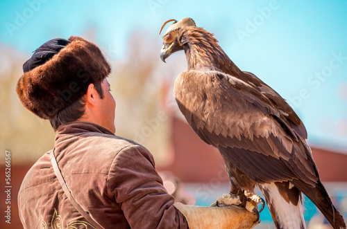 Golden eagle close-up on the background of the sky. The bird of prey hunts its prey. The eagle sits on the trainer's hand. Falcon hunting. National tradition of Asia. Kazakhstan © Vera