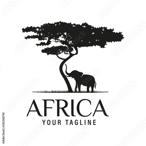 African Acacia Tree with African Elephant Silhouette for Safari Adventure Logo Design Vector