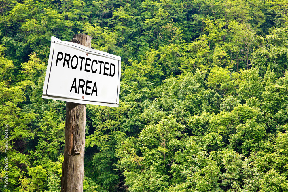 Protected area written on a sign against a woodland - Sign indicating concept