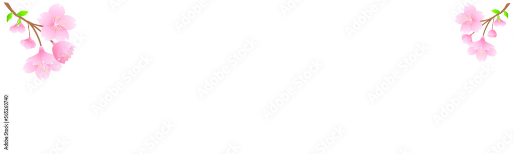 Fototapeta premium 桜。春がコンセプトのバナー。