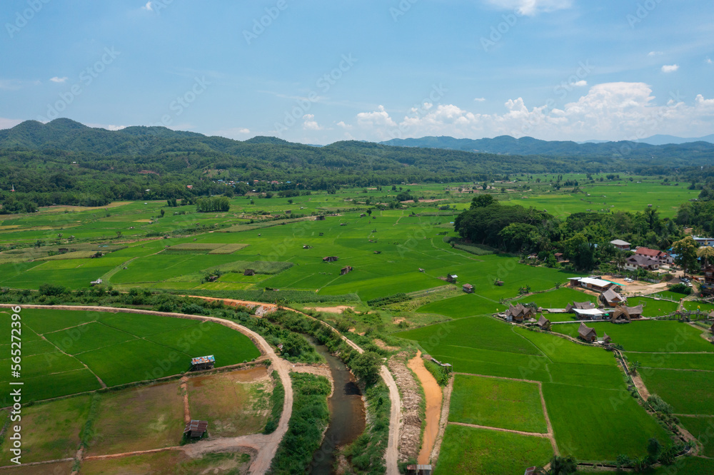 Aerial view of green rice field at countryside village in Nan province, Thailand.