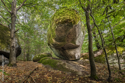 Seltsam geformter Stein Schnabelstein menschliche Steinbearbeitung der Schwerkraft trotzt aufrecht steht künstlich platziert an Kultstätte Wackelstein Regenstauf in Oberpfalz Bayern in Deutschland