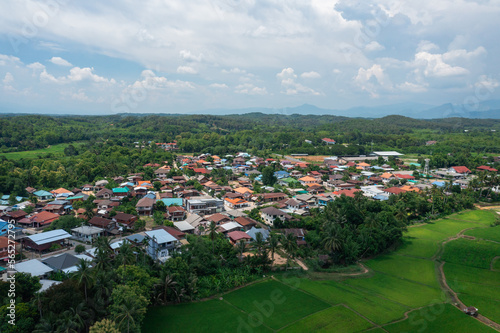 Aerial view of green rice field at countryside village in Nan province, Thailand.