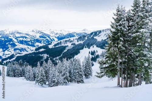 Wintry landscape in Austrian Alps in Kitzbuhel. Winter in Austria © beataaldridge