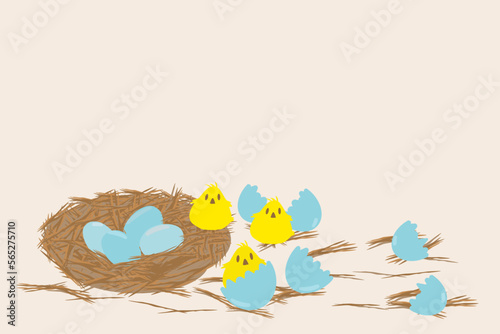 Cute lovely blue Easter eggs and 3 little yellow fluffy chicks vector came out of the broken egg shell in the branch straw hey bale basket nest design for background wallpaper gift wrap birthday card