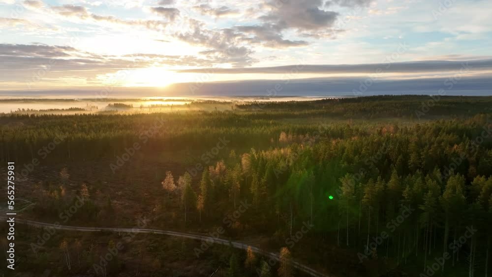 Scenic drone video of foggy sunrise over forest, landscape in North Sweden, golden sun light beams and shadows. Beautiful nature, Vasterbotten, northern Sweden, Umea. Side fly, lens flare Scenic drone video of foggy sunrise over forest, landscape in North Sweden, golden sun light beams and shadows. Beautiful nature, Vasterbotten, northern Sweden, Umea. Side fly, lens flare