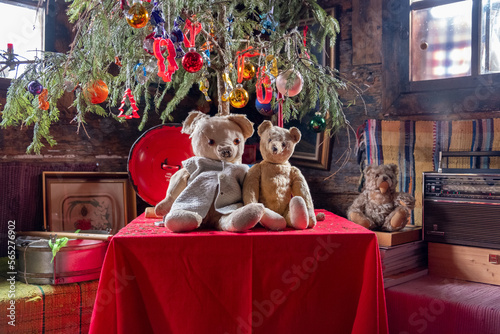 Bärenfamilie unter dem Weihnachtsbaum . Bear Family under the Christmas tree photo