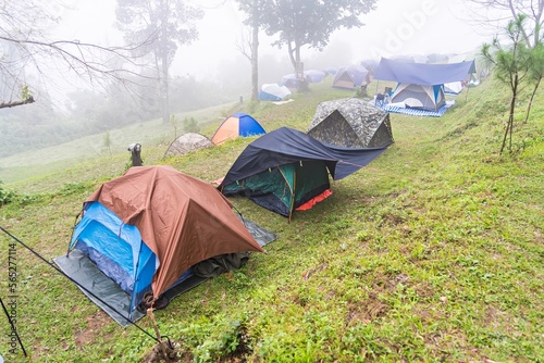 Chiang Mai  Thailand - December  18  2022   tourist tent in mist   fog. camping in pine tree forest. travel  vacation  nature concept at Chiang Mai  Thailand.