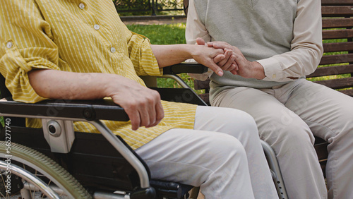 Aged man and woman in wheelchair holding hands in park, family togetherness