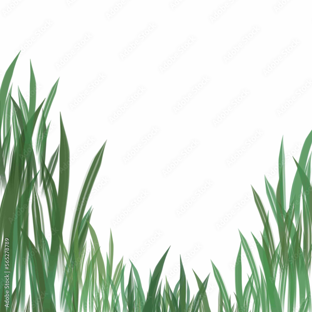 Fototapeta premium green grass background