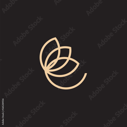 flower logo illustration. Floral wreaths. Botanical floral emblem with typography on black background
