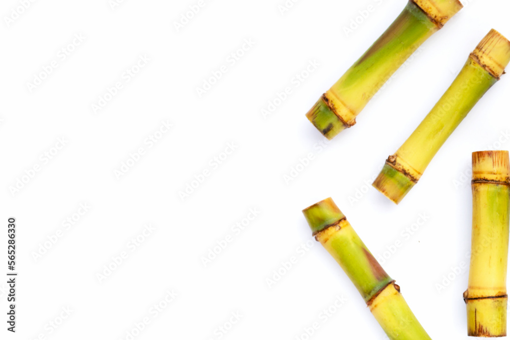 Fototapeta premium Sugar cane on white background. Copy space