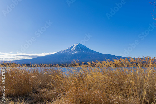 富士山の見える湖