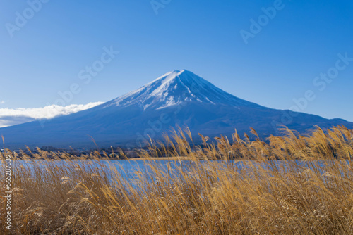 富士山の見える湖