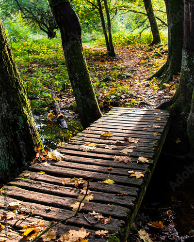 Small wooden bridge between tree trunks with dry leaves during autumnal season in Trollskogen Vresbokarna. Celestial trail in the woods or ethereal path in a forest lit by sun rays conveys relaxation photo
