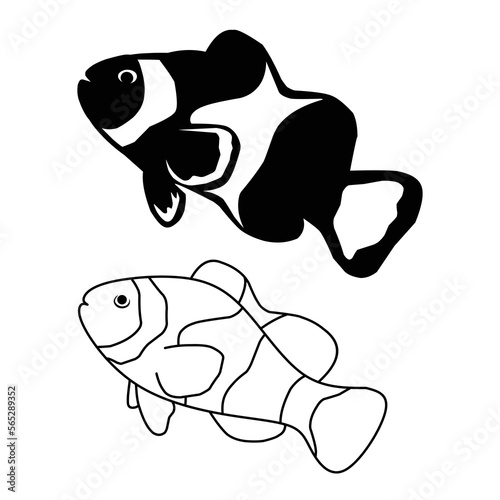 black and white clown fish vector illustration