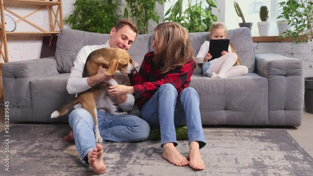 Happy family cuddling their dog beagle, having fun together in living room. Concept of pets, parenthood, love for animals. Young european couple sitting on the sofa at home, playing and relaxing Happy family cuddling their dog beagle, having fun together in living room. Concept of pets, parenthood, love for animals. Young european couple sitting on the sofa at home, playing and relaxing
