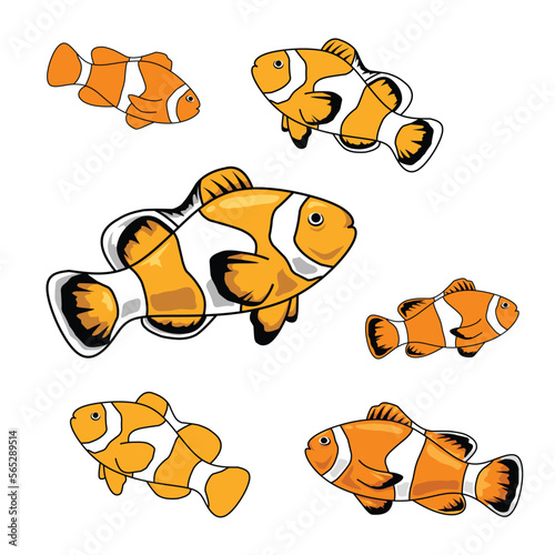 set of clown fish collection vector illustration