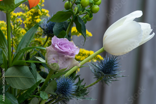 White tullip in a vase photo made outside
