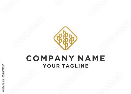 wheat grain  logo design vector template