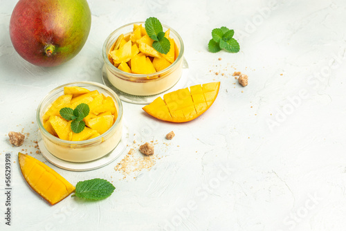 dessert panna cotta with pieces of fresh mango on a light background. top view