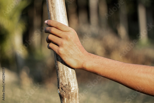 A human hand catch an old bamboo and the background blurred © Rokonuzzamnan