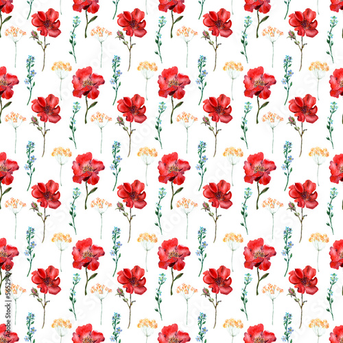 Watercolor seamless pattern with Decorative bright flowers