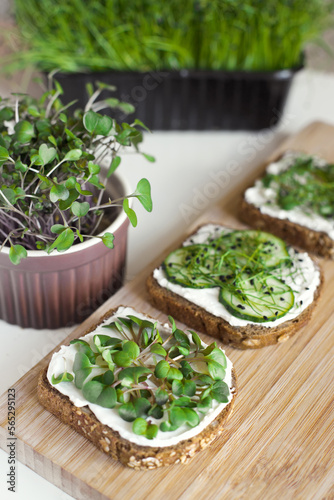 Fitness food with healthy organic micro greens. Vegan breakfast toasts. 