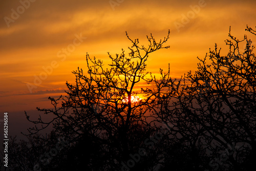 Sunset sky view. Czech Republic. © Lucie