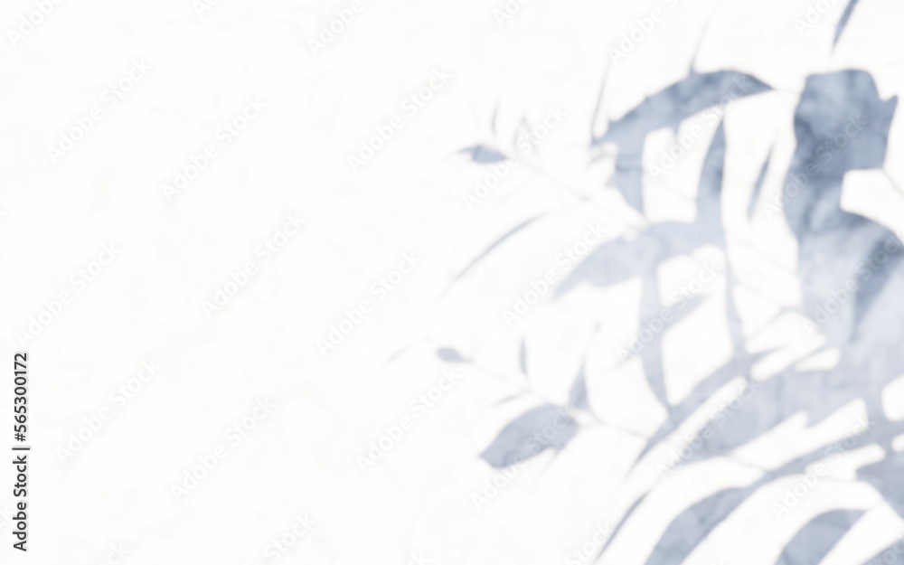Obraz premium background with white shadow