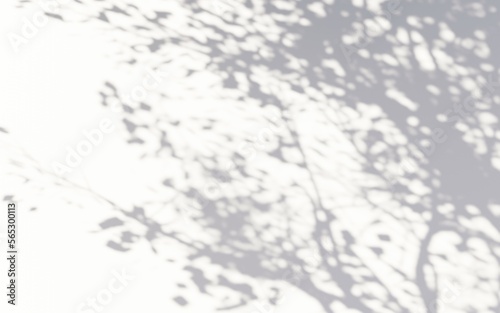 black and white background shadow tree
