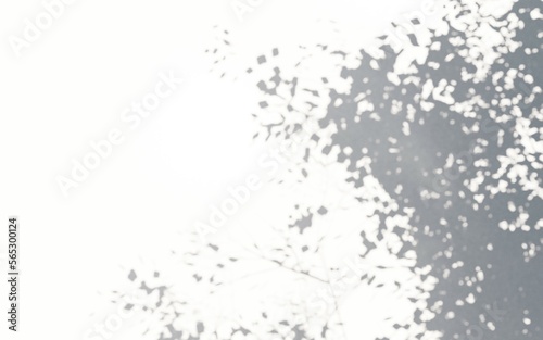black and white background shadow tree 