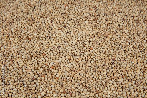 Gluten free Sorghum seeds isolated on white background. Whole seeds of Sorghum Moench, millet, feed. A Bowl of Sprouted Sorghum and Sorghum Flour on a Bright White Table.