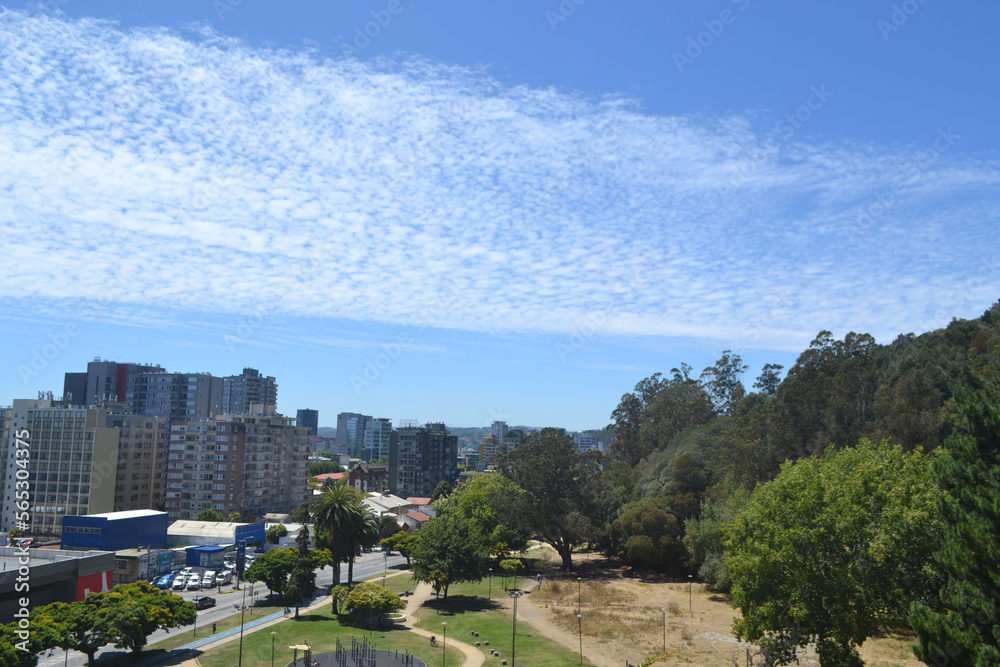 the city of Concepción seen from the Caracol hill in Chile