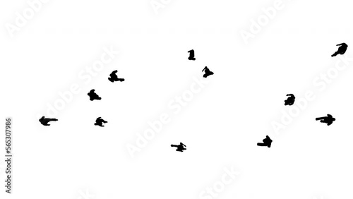 Silhouettes of people are walking on a white background