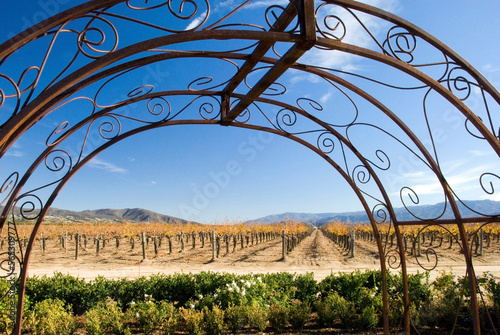 A metal arch frames a vineyard in the fall in Temecula, CA. photo